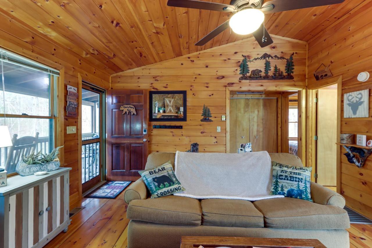 Blue Ridge Cozy Cabin In The Woods With Hot Tub! 외부 사진