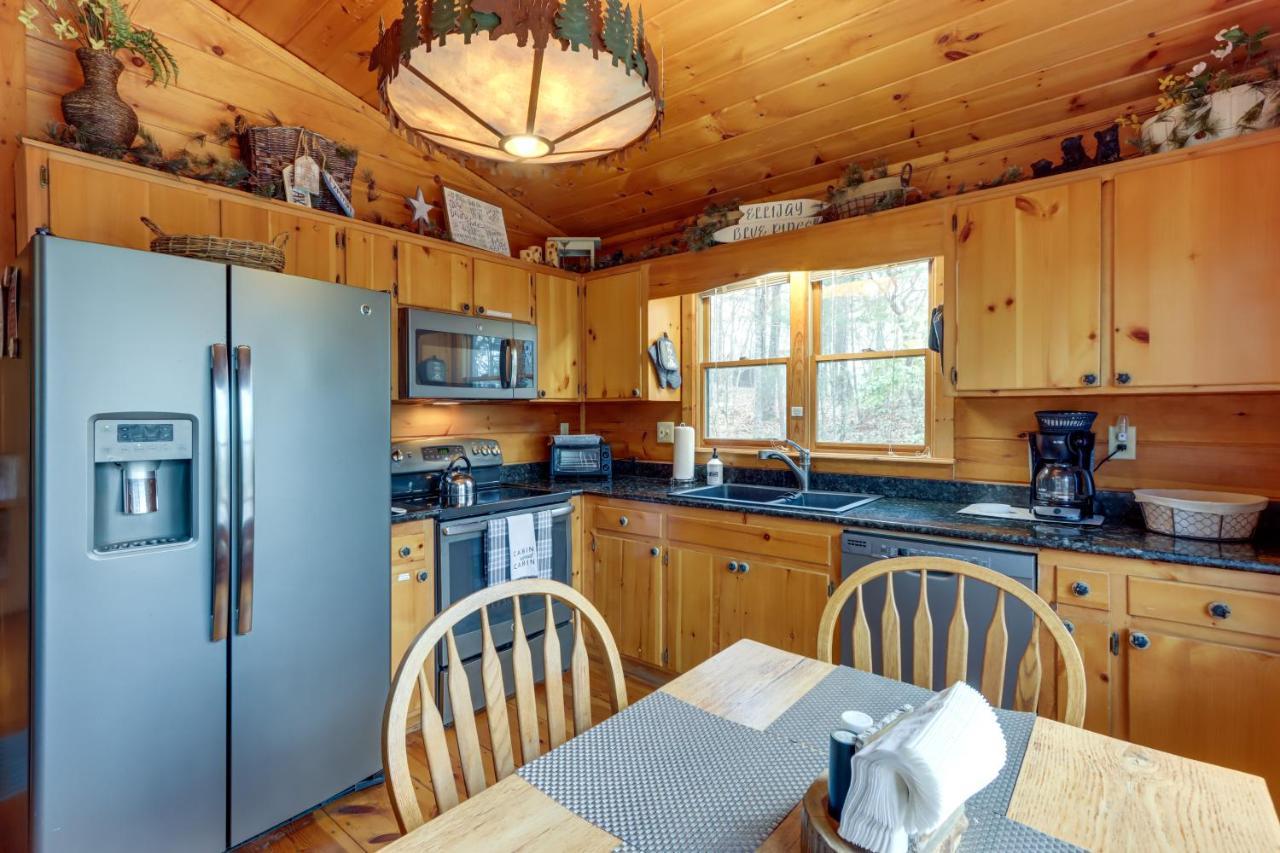 Blue Ridge Cozy Cabin In The Woods With Hot Tub! 외부 사진
