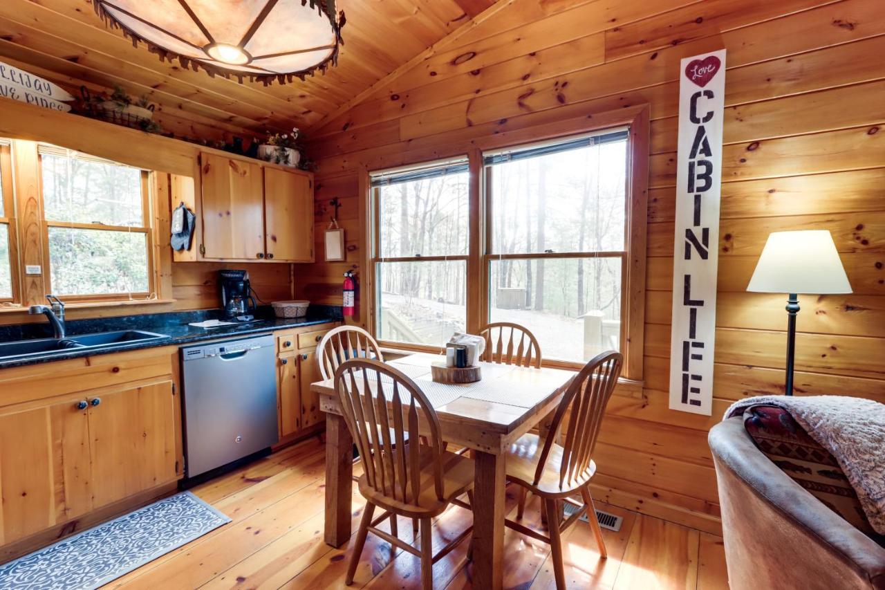 Blue Ridge Cozy Cabin In The Woods With Hot Tub! 외부 사진